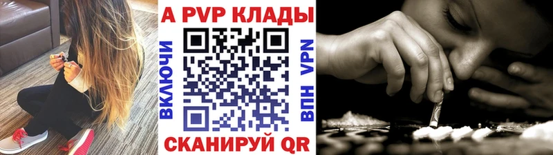 Альфа ПВП СК КРИС  Ярославль 