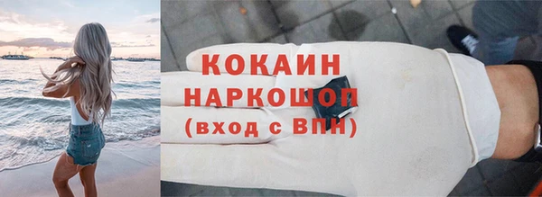 шишки Абаза