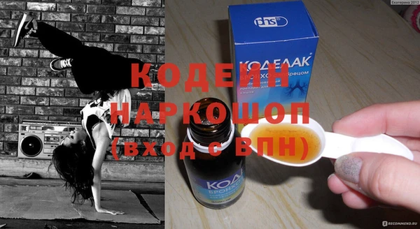 шишки Абаза