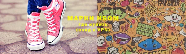шишки Абаза