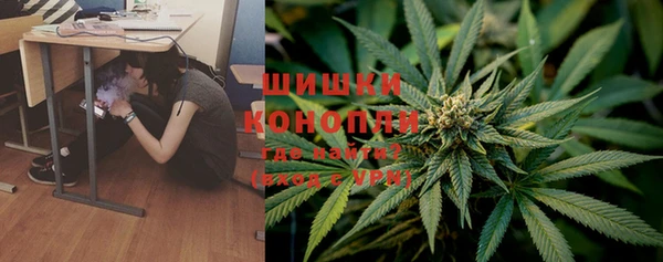 шишки Абаза
