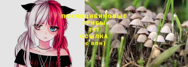 ALPHA PVP Алзамай