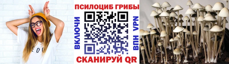 Галлюциногенные грибы мицелий  Ярославль 