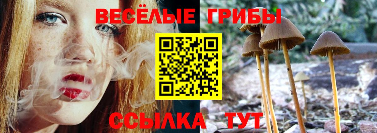 Псилоцибиновые грибы прущие грибы Ярославль